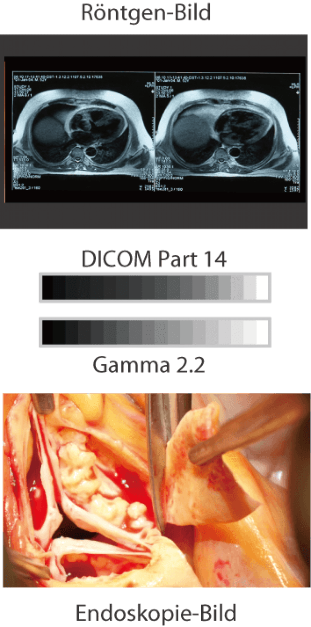 Monitor - LX491W - Flexible Einsatzmöglichkeiten