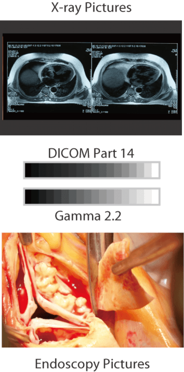 Monitor - LX491W - Flexible Usage