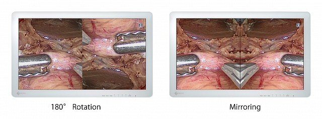 Monitor - Endo 2D - Rotate Independent EX2621