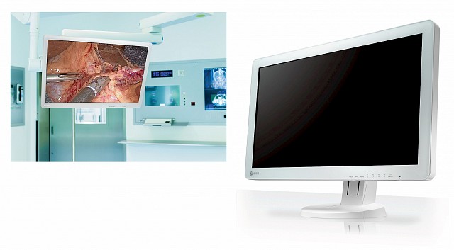Monitor - Endo 2D - VESA EX2621