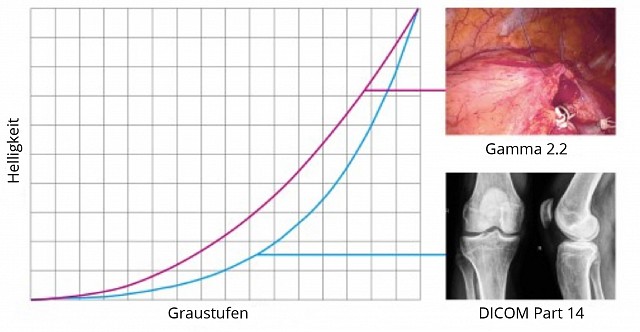 Monitor - SCD 19102 - werksseitiger Kalibrierung
