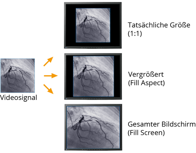 Monitor - LX2420-T - Different Resolutions