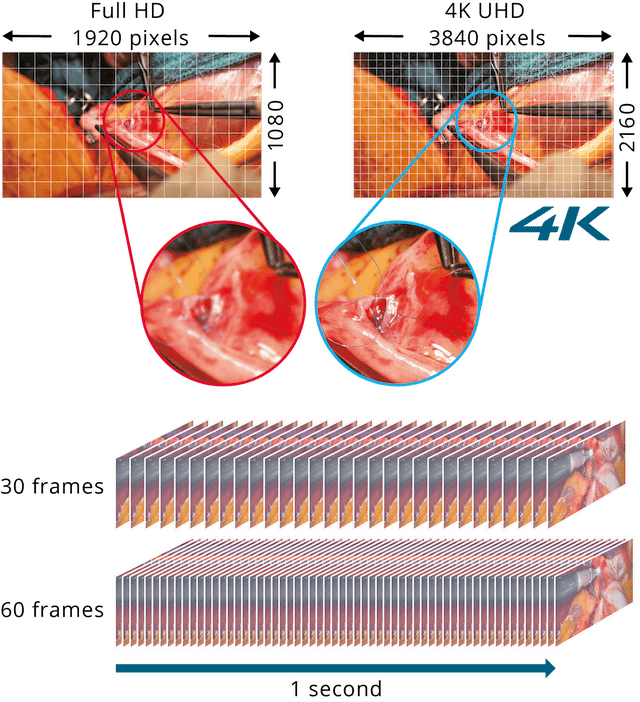 Recorder - 4K Recording